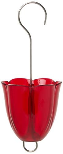 Droll Yankees Ant Moat for Hummingbird Feeders - Red - .75 Cup Cap