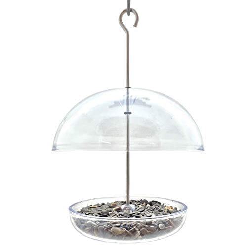 Droll Yankees Cutest Chickadee with Adjustable Dome Wild Bird Feeder - Clear - .5 Lbs Cap  