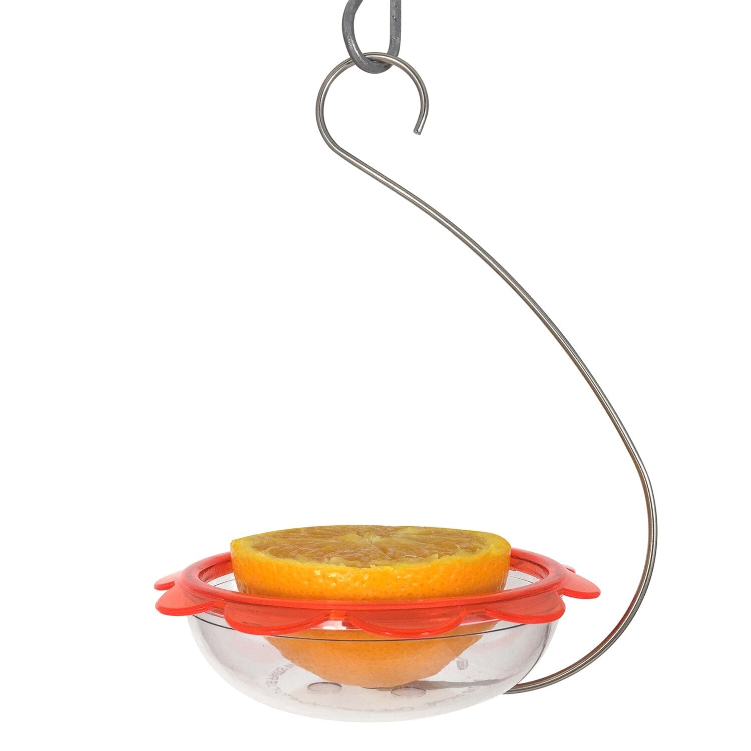 Droll Yankees Marmalade Hanging Oriole Feeder - Orange - 5 In  