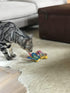 Ducky World Yeowww!® Butterflies Cat Toys Purple Color  