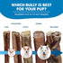 Durkha Dog Bully Sticks Plain - 12 Inches - 24 Count  