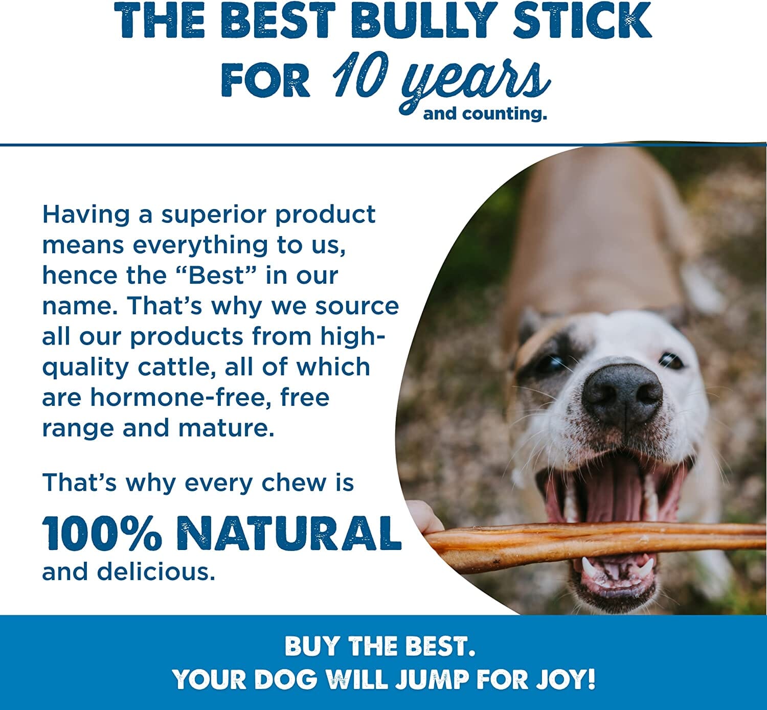 Durkha Dog Bully Sticks Plain - 12 Inches - 24 Count  