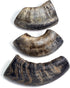 Durkha Water Buffalo Horns Natural Dog Chews - Small  