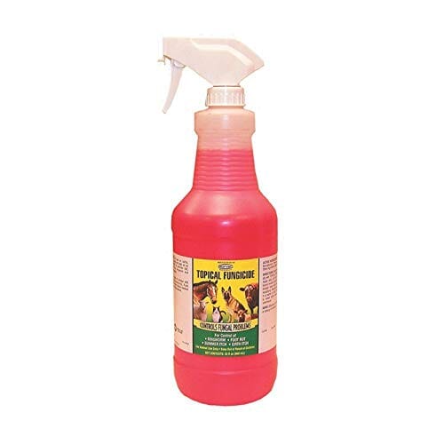 Durvet Topical Fungicide with Sprayer Veterinary Supplies Sprays/Daubers - 1 Qt