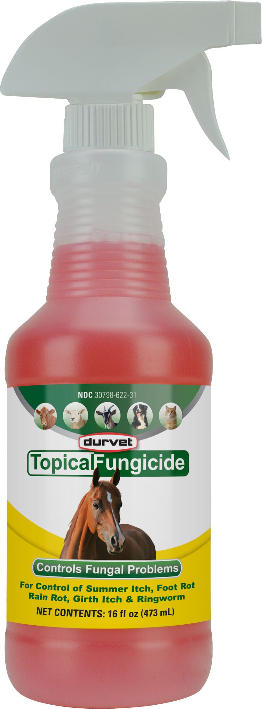 Durvet Topical Fungicide with Sprayer Veterinary Supplies Sprays Daubers 16 Oz