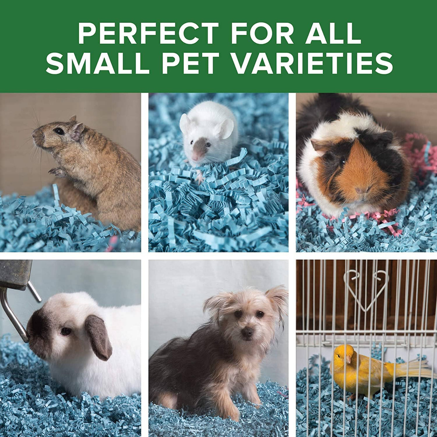 Eco Bedding for Small Pets - Blue - 1.5 Lbs – Pet Life