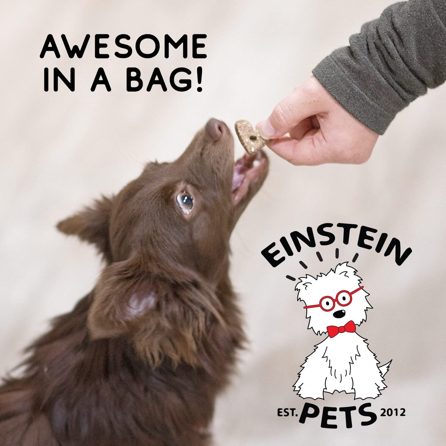 Einstein Pets Farmer's Market Crunchy Dog Biscuits Treats - 6 Oz  