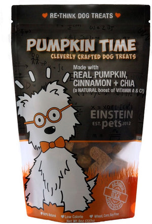 Einstein Pets Juniors Pumpkin Time Chewy Dog Treats - 2 oz Bag
