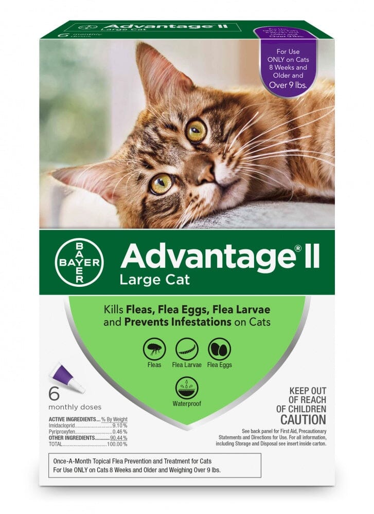 Elanco Advantage II Large Cat  