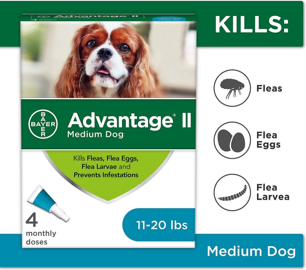 Elanco Advantage II Medium Dog  