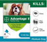 Elanco Advantage II Medium Dog  