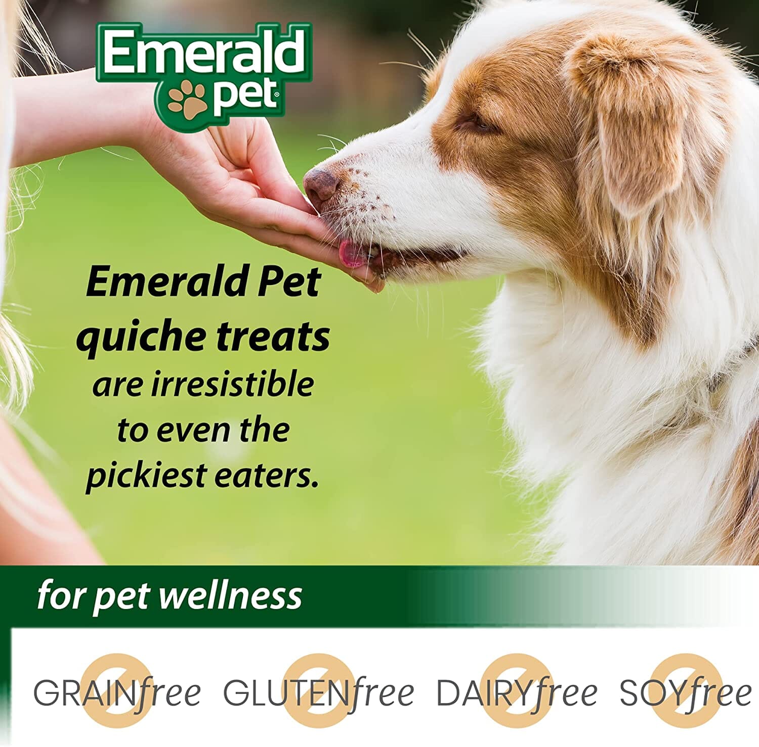 Emerald Pet Quiche Royale Bacon & Cheese Soft and Chewy Dog Treats - 6 Oz  