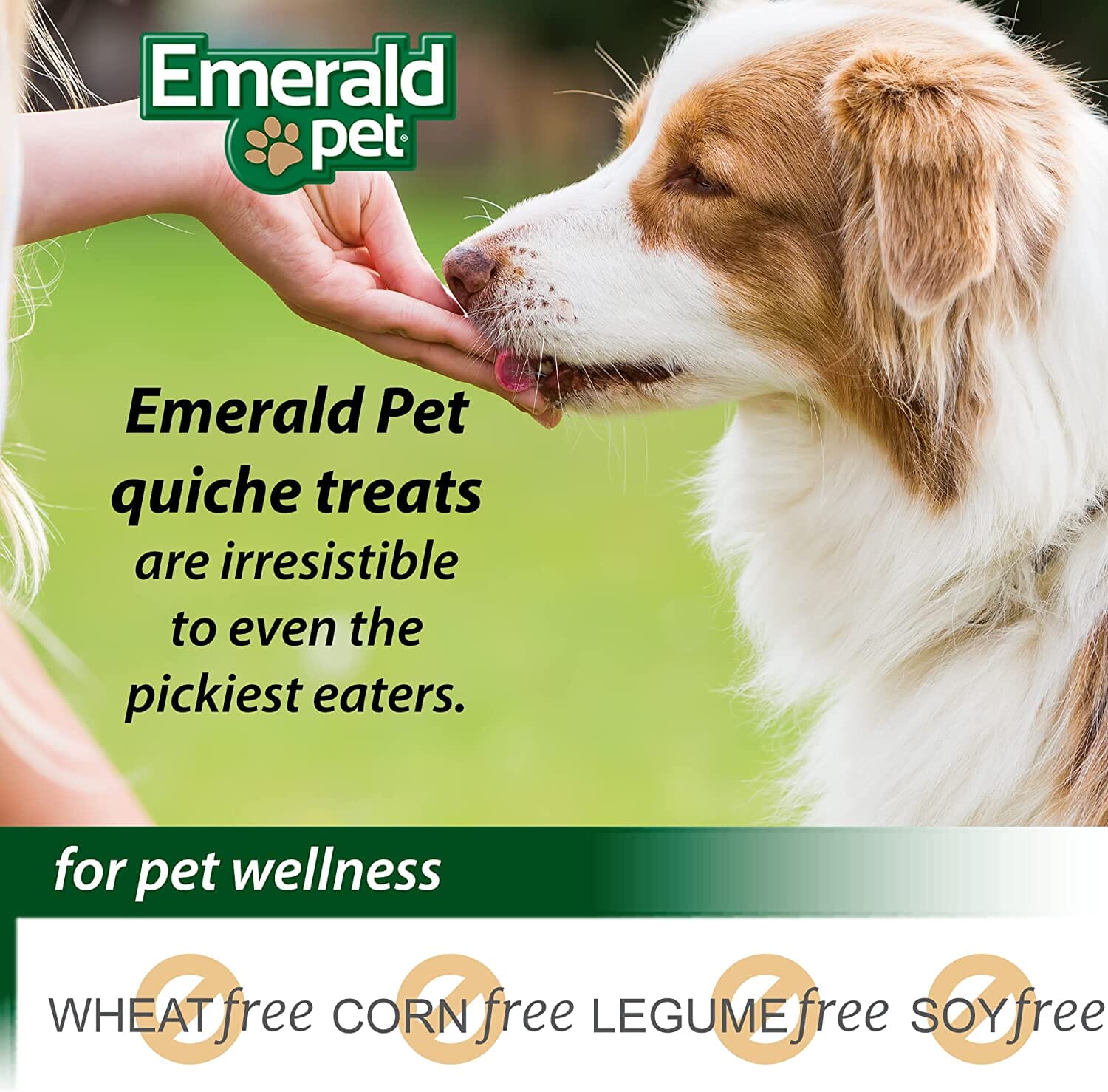 Emerald Pet Quiche Royale Garden Veggie Soft and Chewy Dog Treats - 6 Oz  