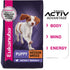 Eukanuba Puppy Early Advantage Chicken Formula Dry Dog Food  
