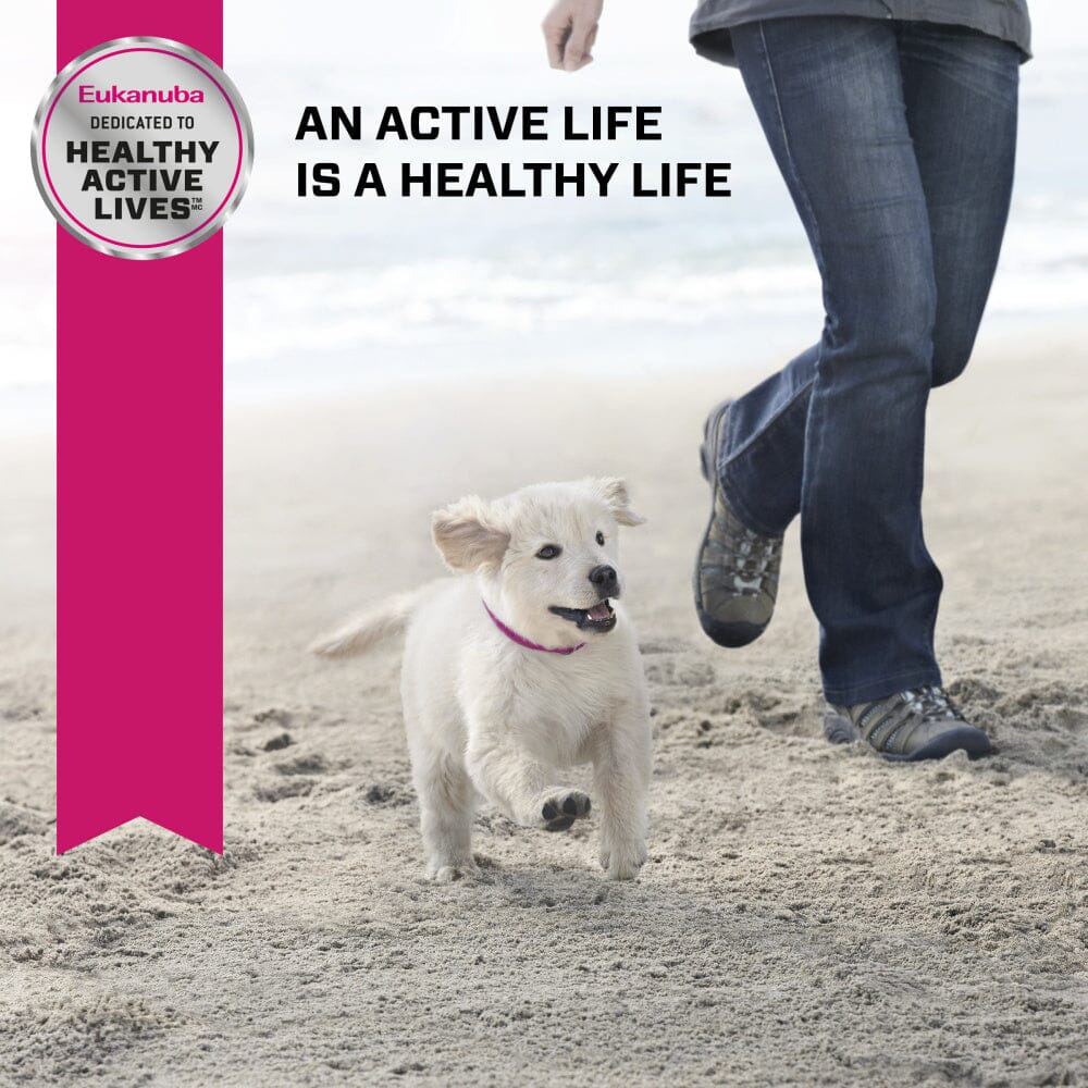 Eukanuba Puppy Early Advantage Chicken Formula Dry Dog Food  