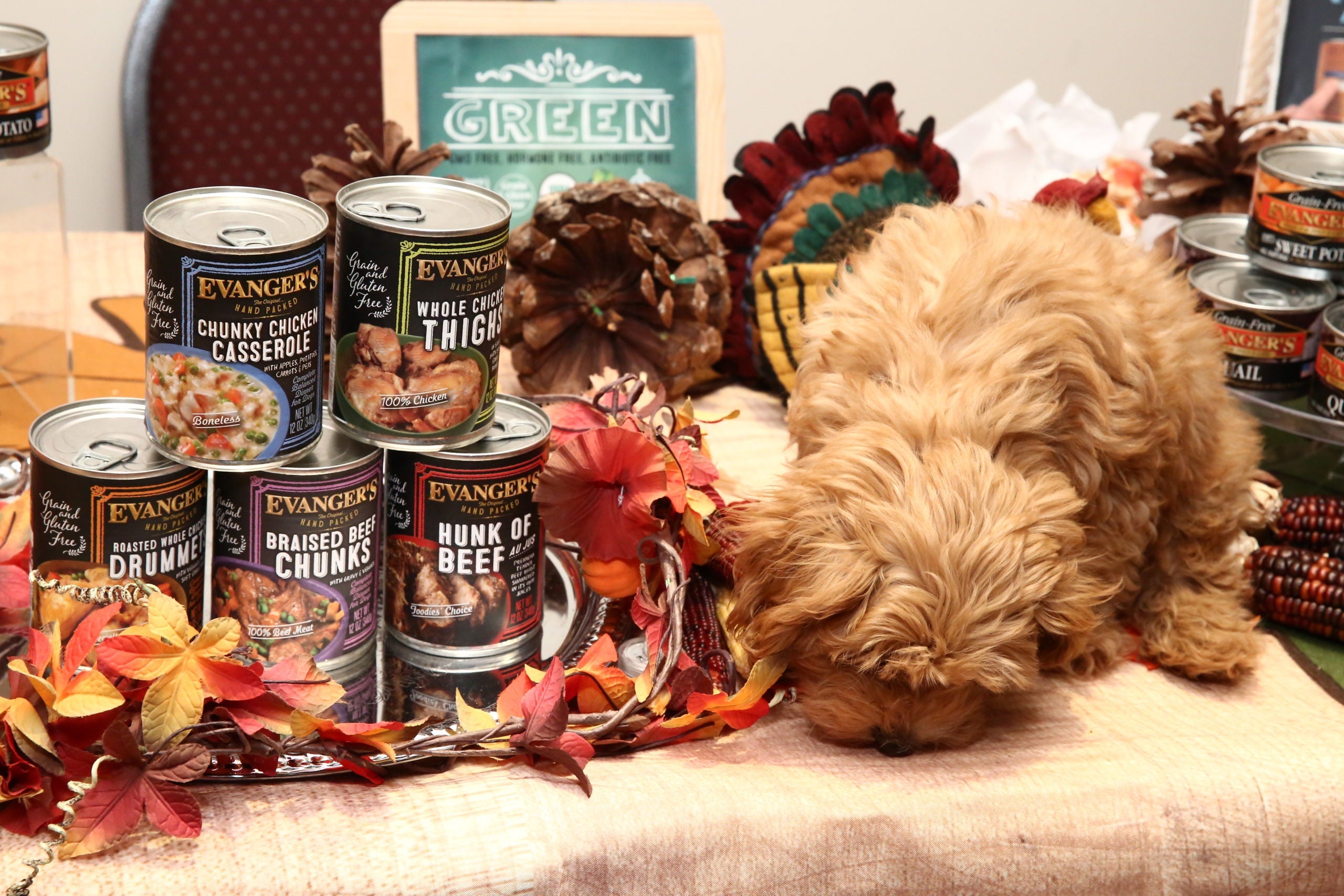 Evanger's Chunky Chicken Casserole Hand Packed Canned Dog Food - 13 oz Cans - Case of 12  