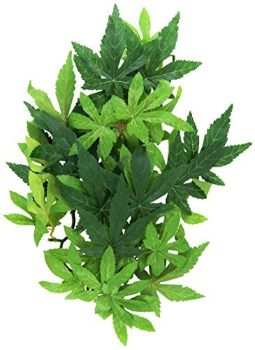 exo terra hanging plants Exo Terra Hanging Silk Abutilon