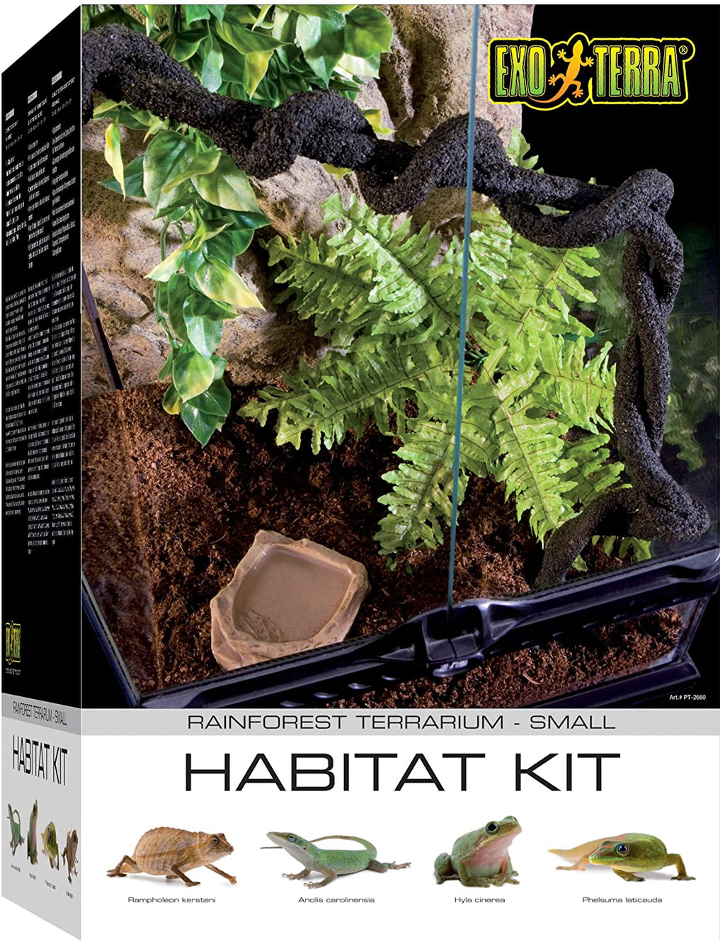 Exo Terra Rainforest Terrarium Habitat Starter Kit - Small  