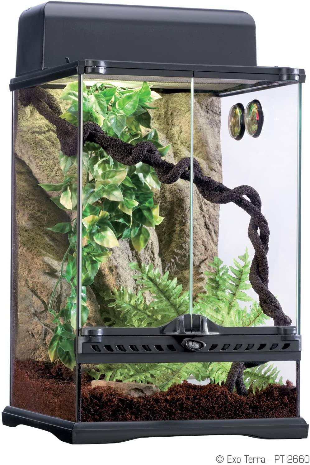 Exo Terra Rainforest Terrarium Habitat Starter Kit - Small  