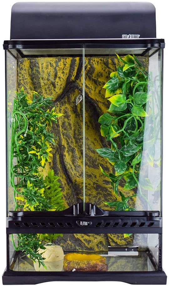 Exo Terra Rainforest Terrarium Habitat Starter Kit - Small  