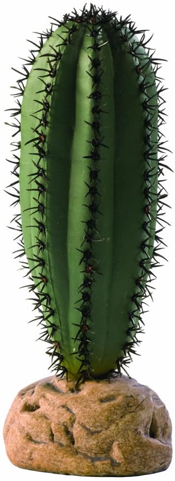 Exo Terra Saguaro Cactus  