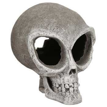 Exotic Environments Alien Skull Resin Aquatics Decoration - Gray - Small  