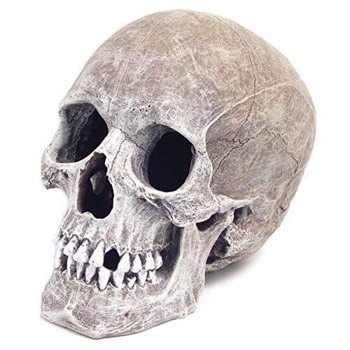 Exotic Environments Life-Like Human Skull Resin Aquatics Decoration - Gray - Small  