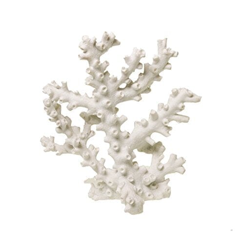 Exotic Environments Octopus Coral Resin Aquatics Decoration - White - Small