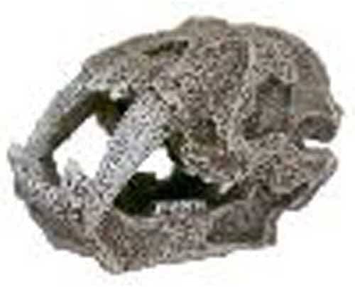 Exotic Environments Saber Tooth Skull Resin Aquatics Decoration - Gray - Extra Small