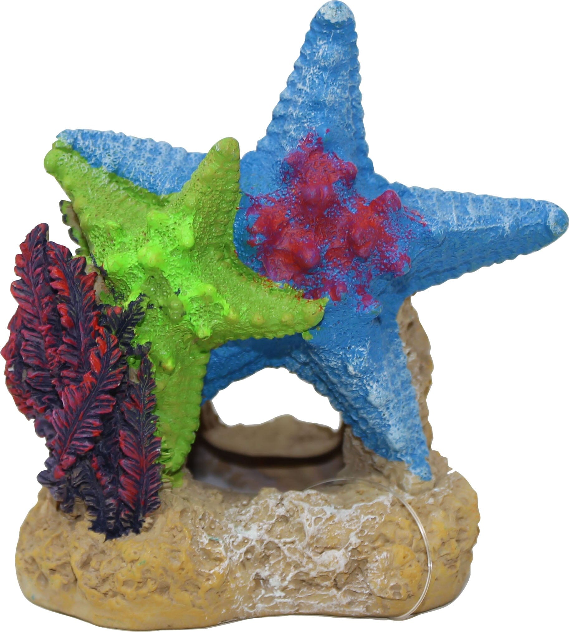 Exotic Environments Sea Star Duo with Plant Resin Aquatics Decoration - 4.5 X 3 X 4.5 In  