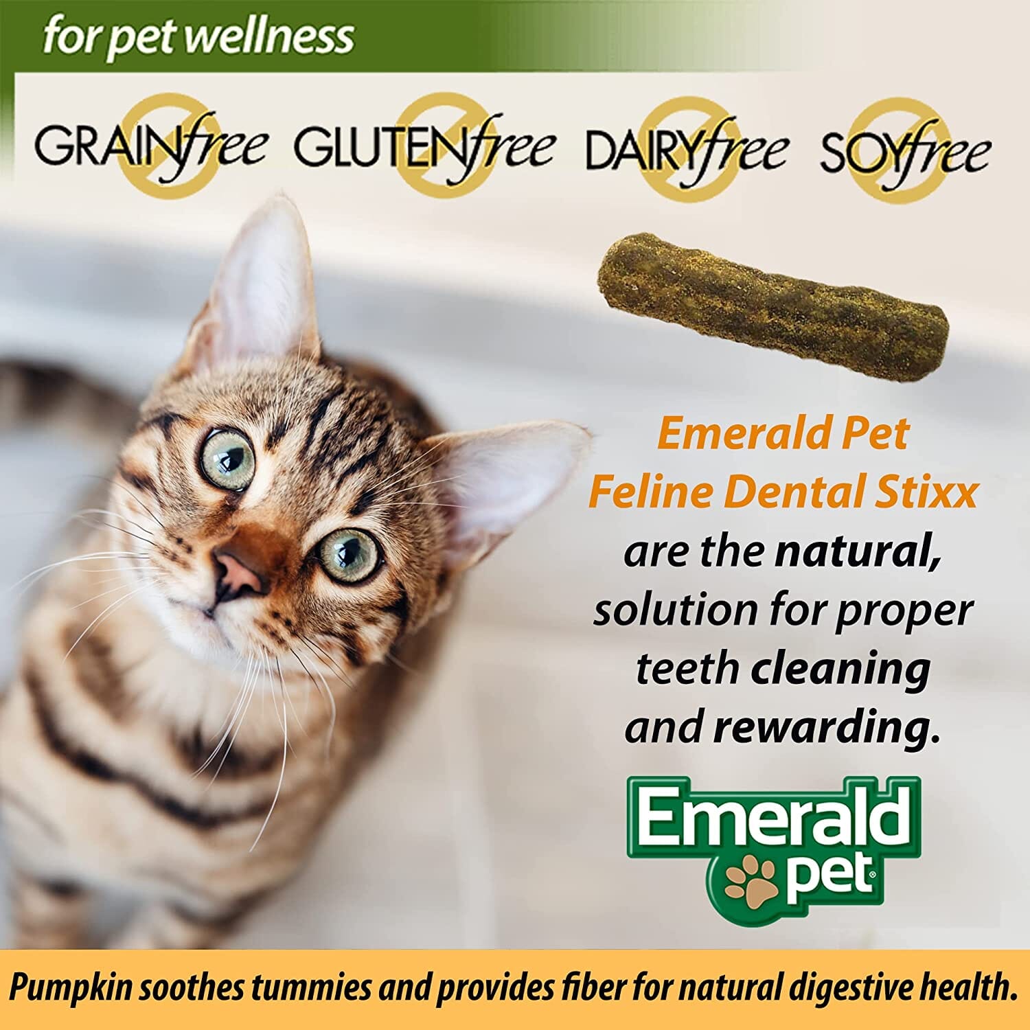 Feline Dental Stixx Emerald Feline Cat Dental Sticks - Catnip - 3.6 Oz  