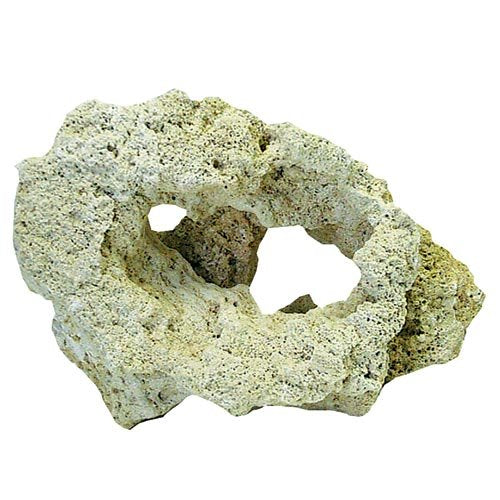 Feller Stone Carved Lava Rock - Medium - Pack of 8  