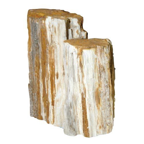 Feller Stone Petrified Wood - Pack of 55 lbs  