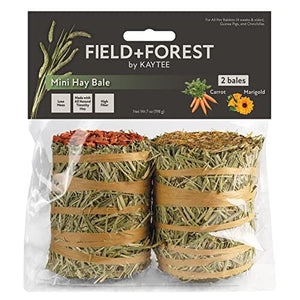 Field + Forest Mini Hay Bales Small Animal Hay - Carrot/Marigold - 7 Oz - 2 Pack