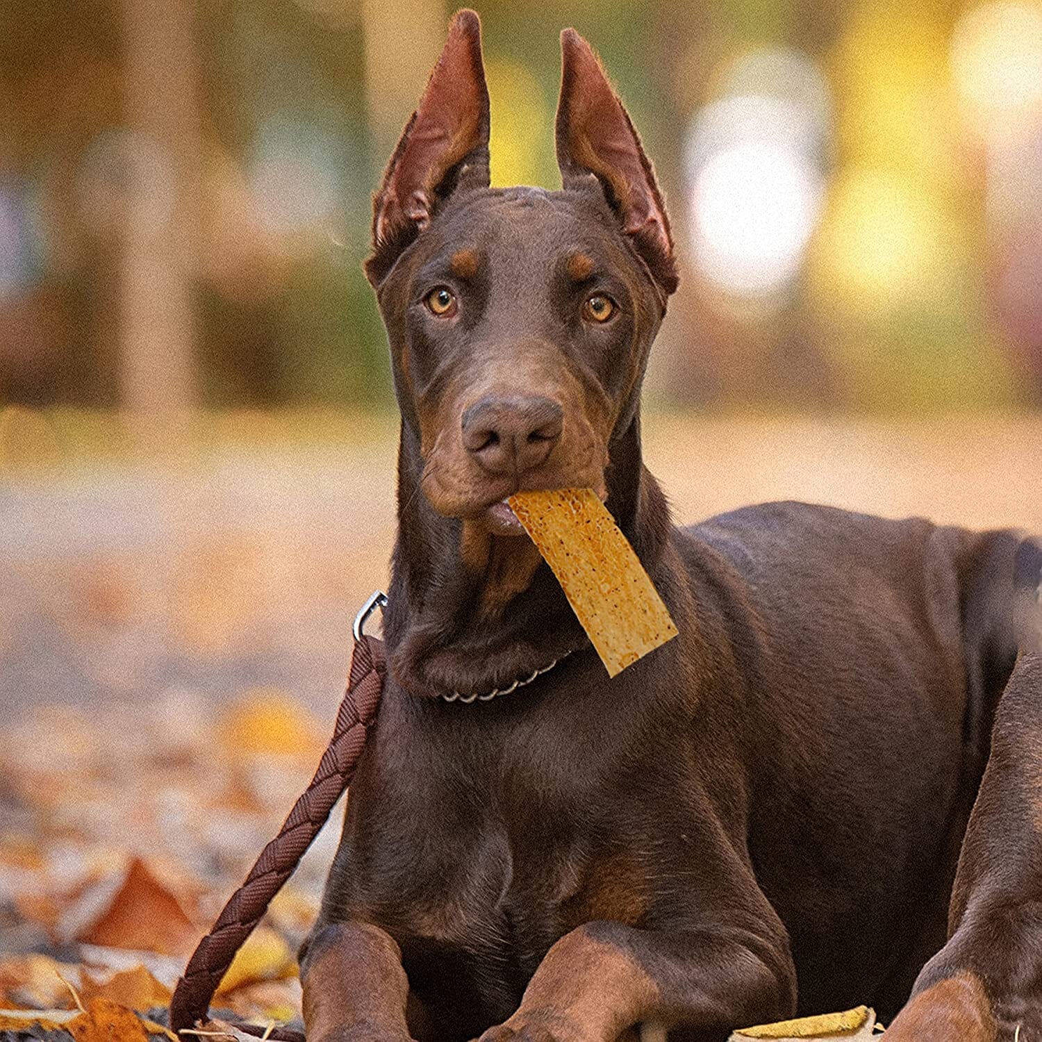 Fieldcrest Farms Nothin' To Hide Rawhide Alternative Flip Chips Natural Dog Chews - Peanut Butter - 8 Pack  