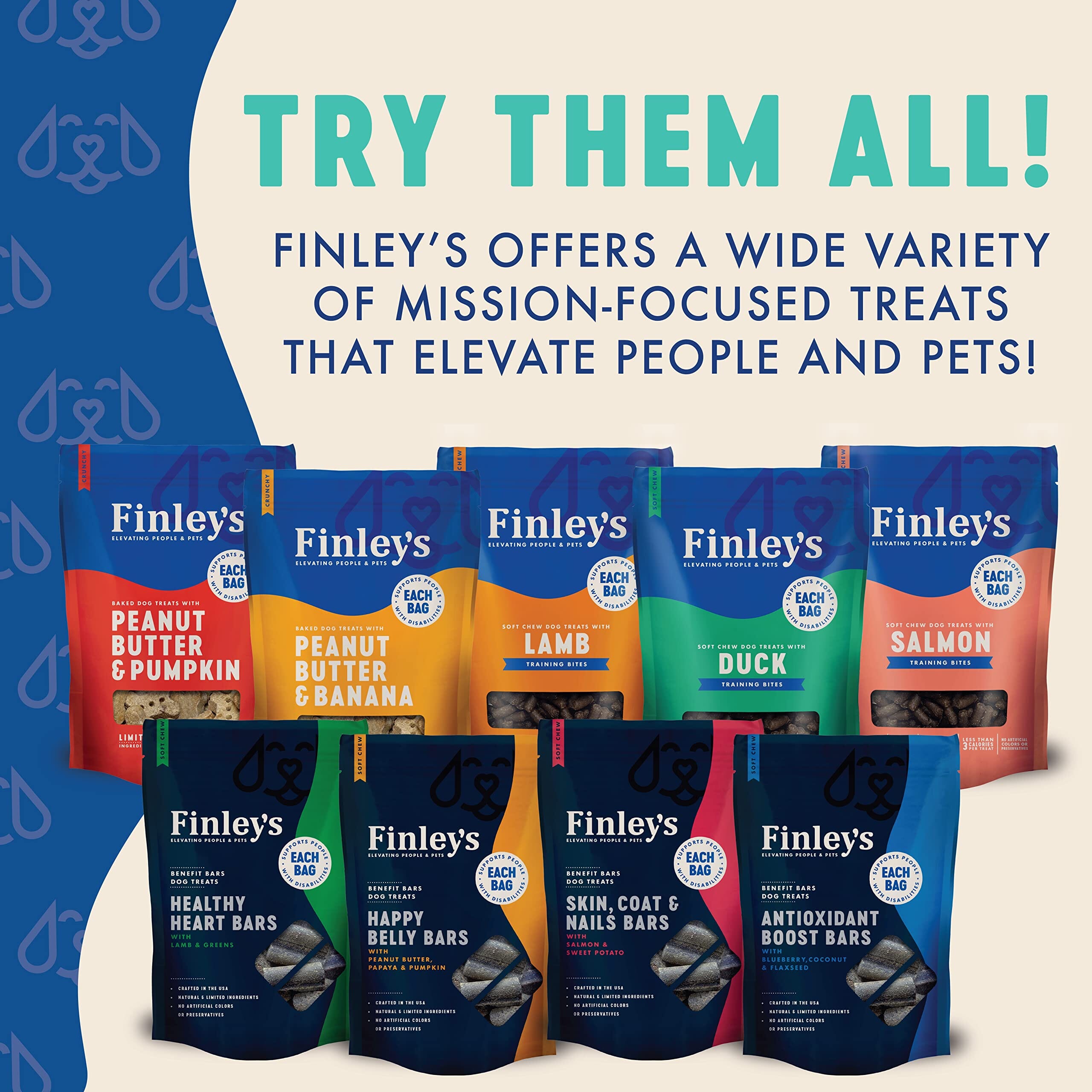 Finley's Blueberry and Coconut Crunchy Dog Biscuits - 12 Oz  