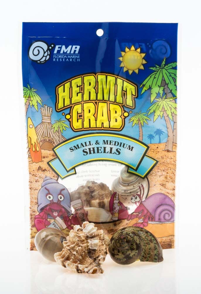 Florida Marine Research Natural Shell Terrarium Ornament Multi-Color - 3 Pack - Medium  