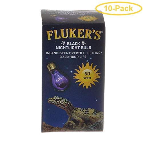 Fluker's Black Nightlight Bulb - 60 W  