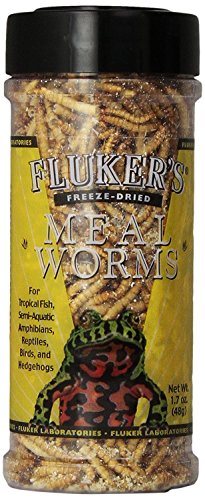 Fluker's Freeze-Dried Mealworms - 1.7 oz  