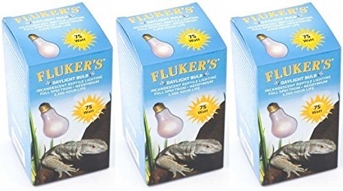 Fluker's Neodymium Daylight Bulb - 75 W  