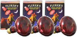 Fluker's Night Time Red Basking Light - 75 W