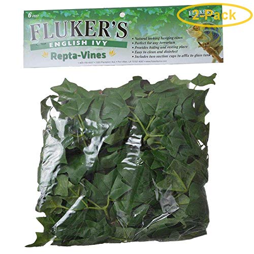 Fluker's Repta-Vines - English Ivy - 6"  