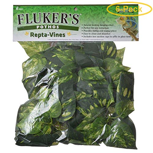 Fluker's Repta-Vines - Pothos - 6