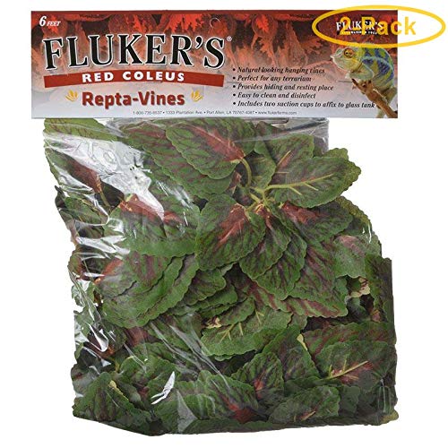 Fluker's Repta-Vines - Red Coleus - 6"  