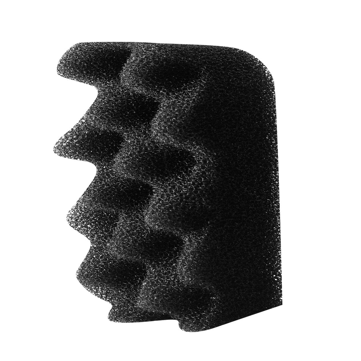 Fluval Bio-Foam for Fluval 306/406 - 2 pk  