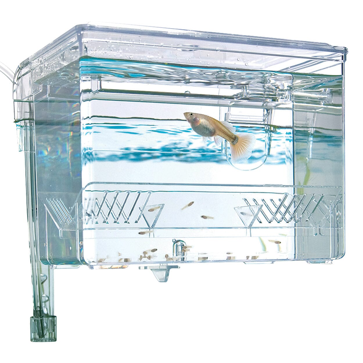 Fluval Hang-On Breeding Box - Medium  