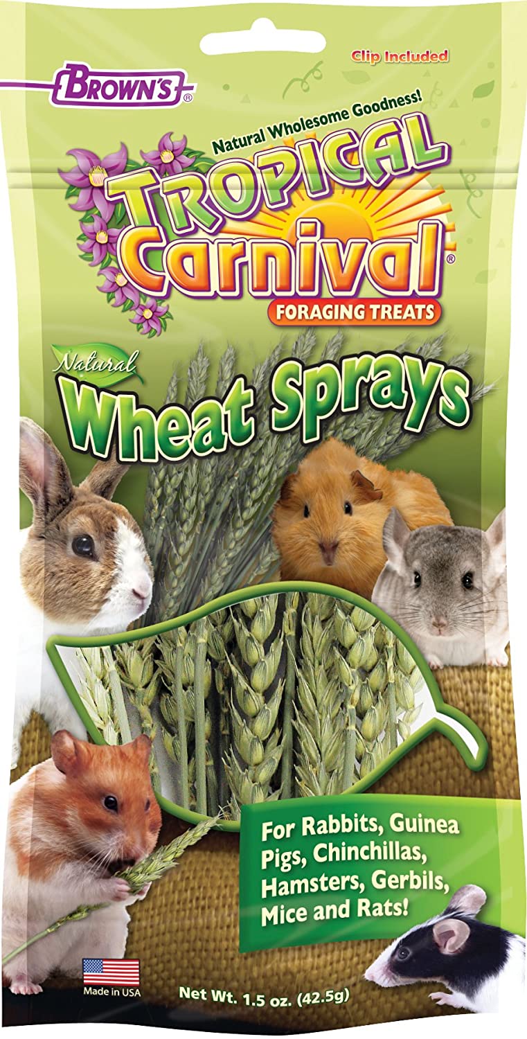 F.M. Brown's Ext Nat Wheat Sprays Small Animal Treats - 1.5 oz  