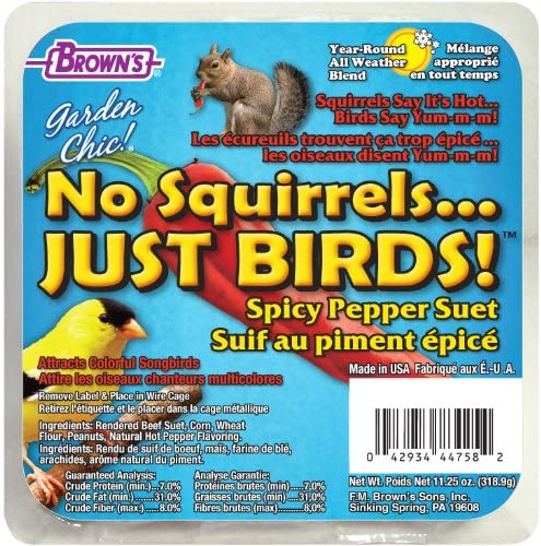 F.M. Brown's No Squirrels..Just Birds Suet Suet Cakes Bird Food - 11.5 oz  