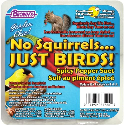 F.M. Brown's No Squirrels..Just Birds Suet Suet Cakes Bird Food - 11.5 oz