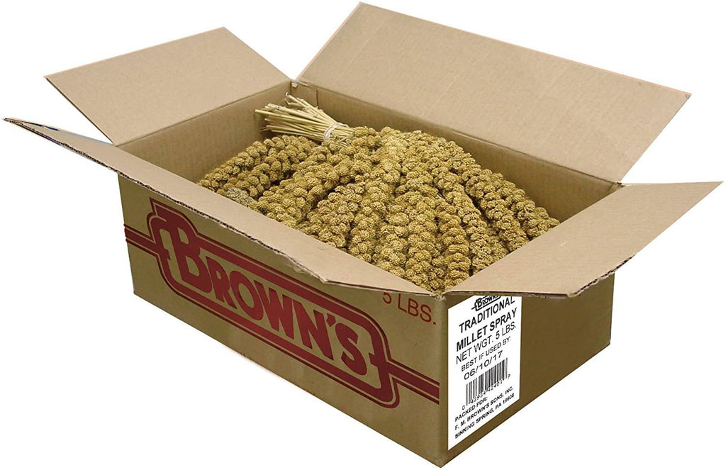 F.M. Brown's Super Premium Golden California Millet Sprays Bird Treats - 80 Count  